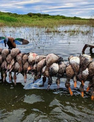 Duck Hunting Port Aransas | 5 Hour Hunting Trip